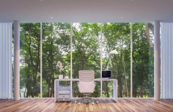 Biophilia – Bringing Nature into the Office to Reduce Stress   