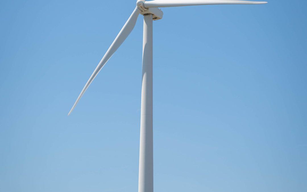 World Environment Day 2022: InterWork’s Impact