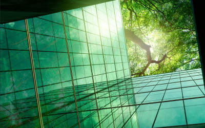 Do not overlook your competitive advantages with ESG